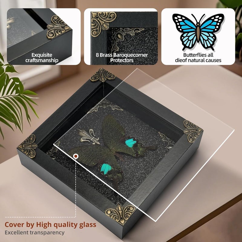 GDBEH Real Butterfly Framed Handmade - Taxidermy Butterfly Shadow Box - Real Framed Butterflies in a Box for Gothic Home Decor Aesthetic. (Parisian Swallowtail Butterfly) - Image 3